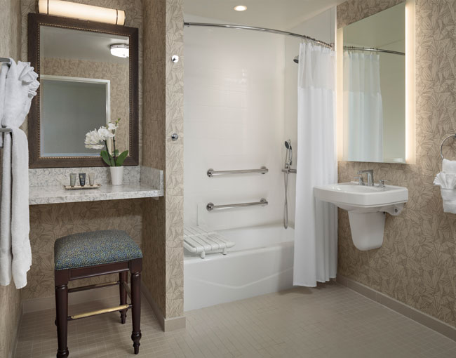 Bathroom Accessibility. Roll-In Shower,Shower Chair,Grab Rails